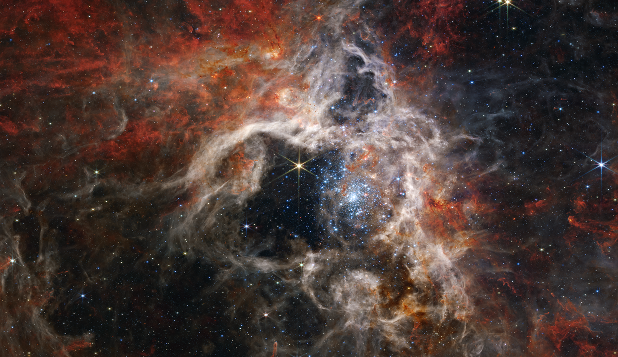 Tarantula Nebula (NIRCam Image)